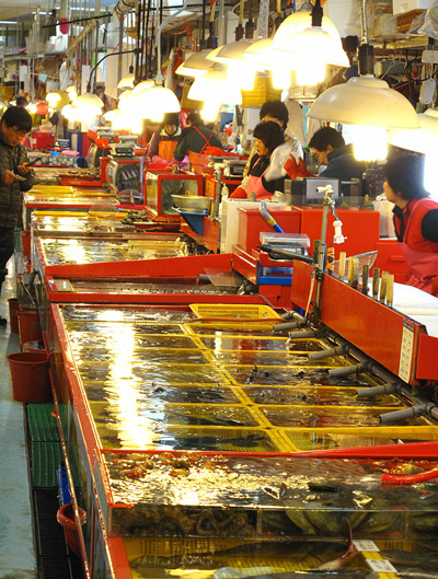 Jagalchi Indoor Fish Market ›
  April 2010.